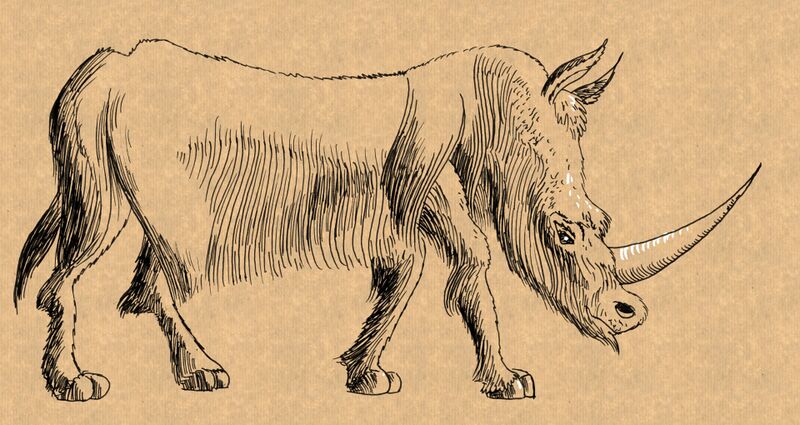 Fichier:Esquisse Onarh.jpg